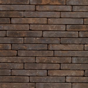 Metropolis Urbis Bruin