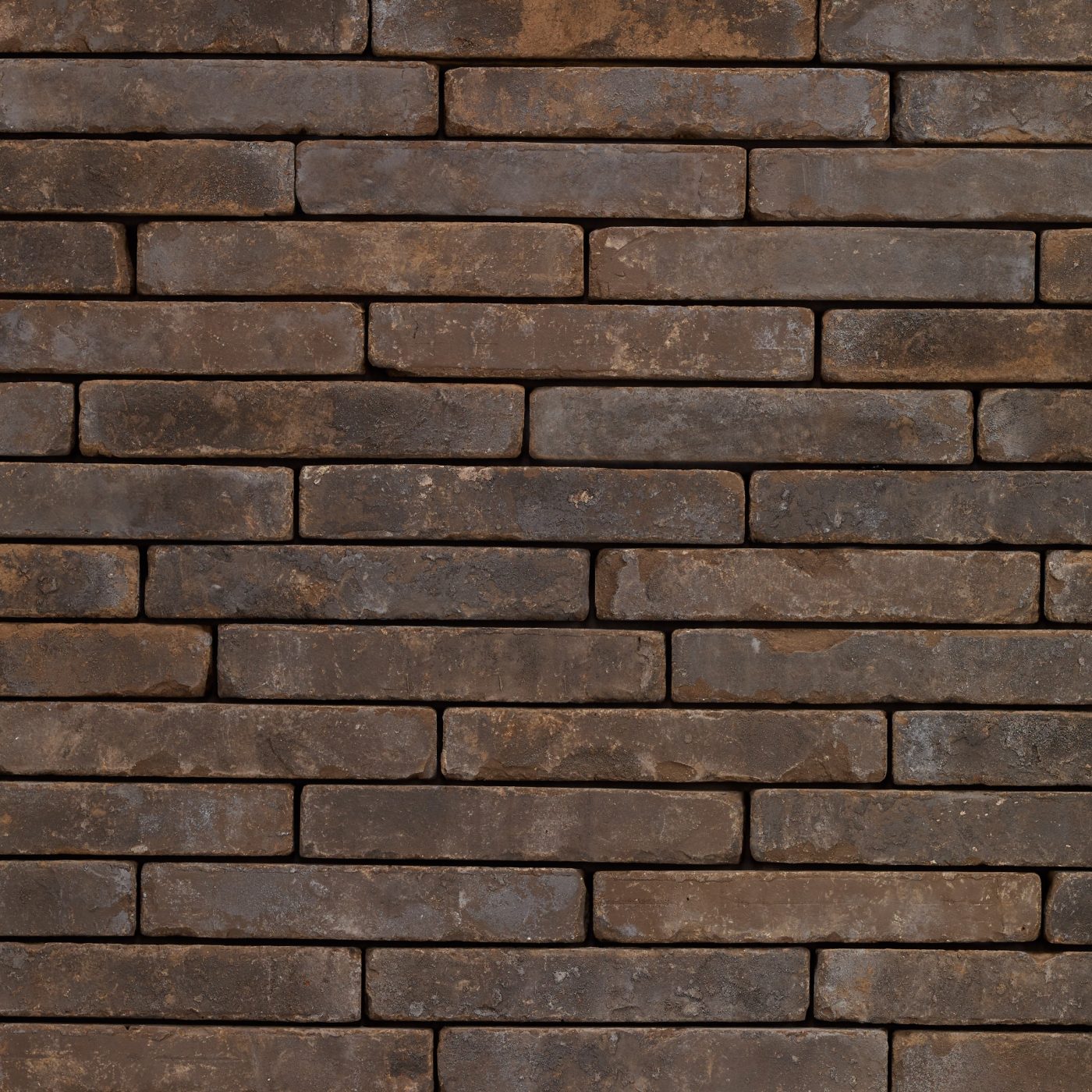 Metropolis Urbis Bruin