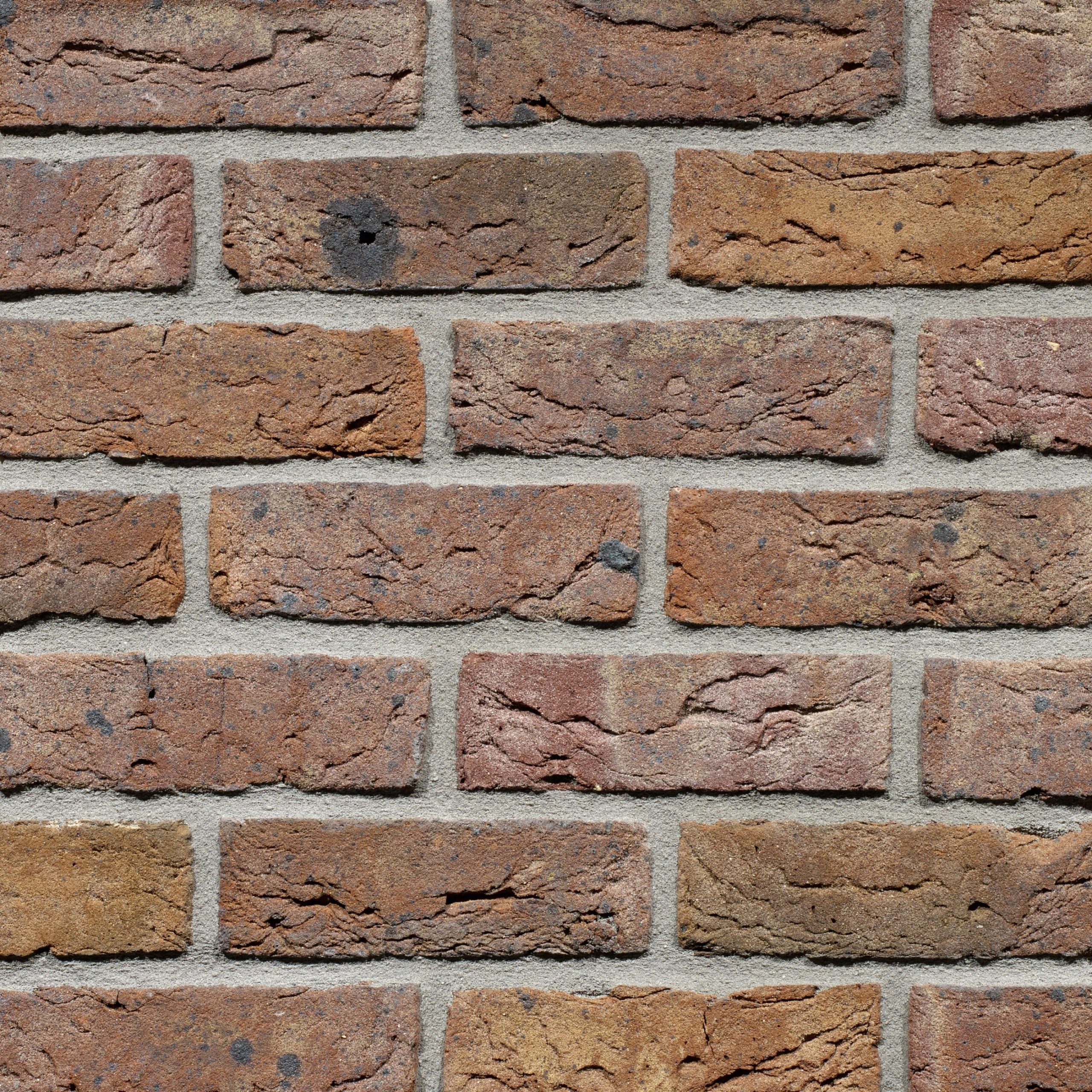 Artiza Veldbrand Exterieur - imagine 2