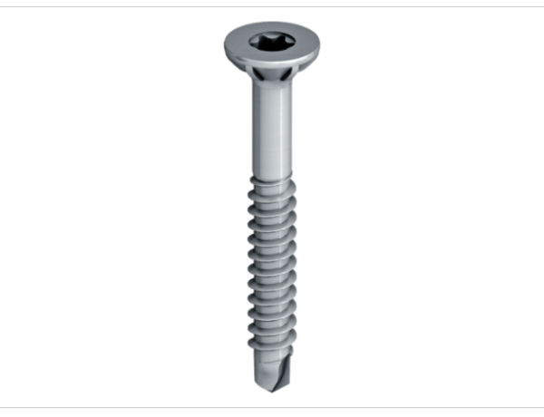 SAPHIR șurub autoforant din oţel inoxidabil JT4-S-2-4.8