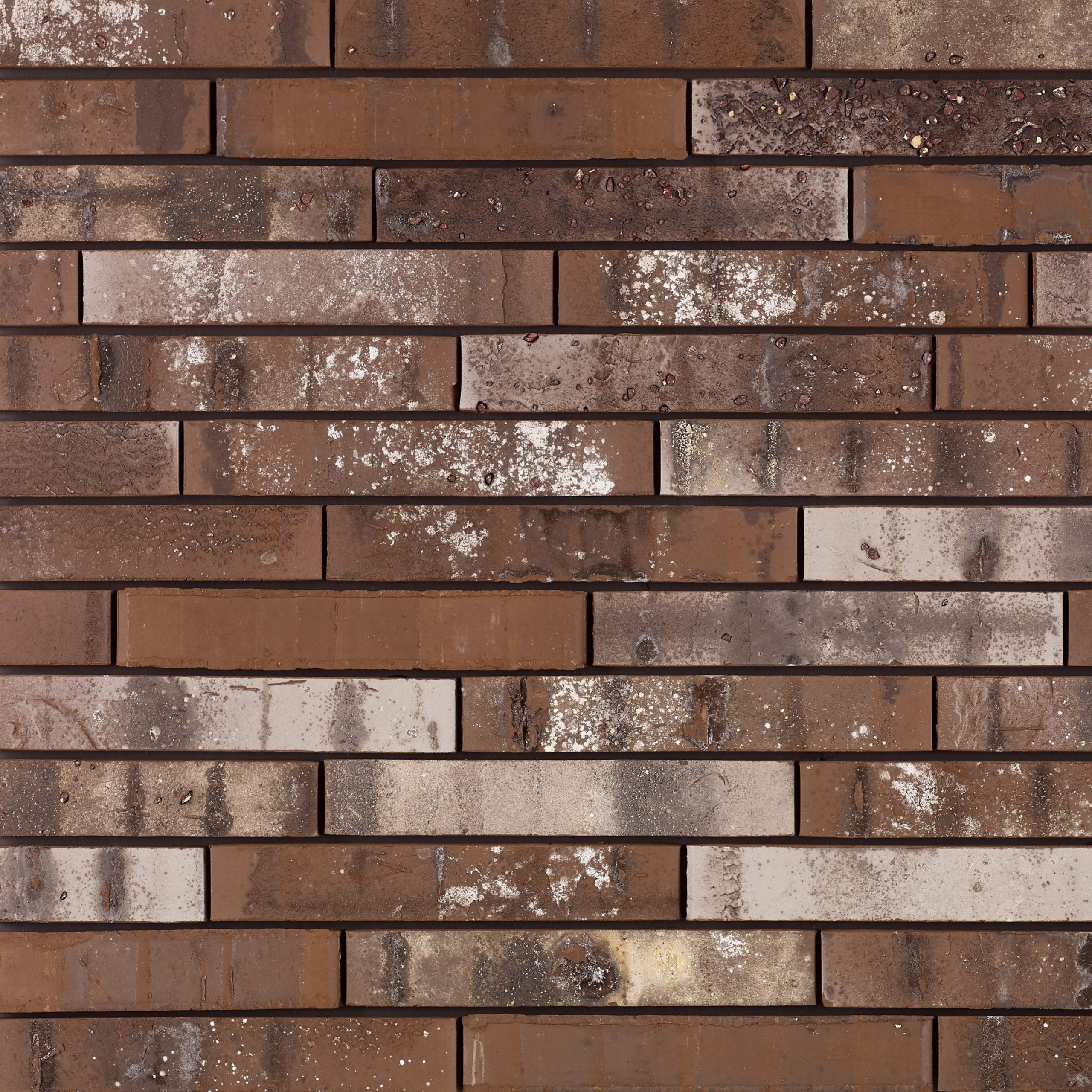 Archipolis Barn Bruin