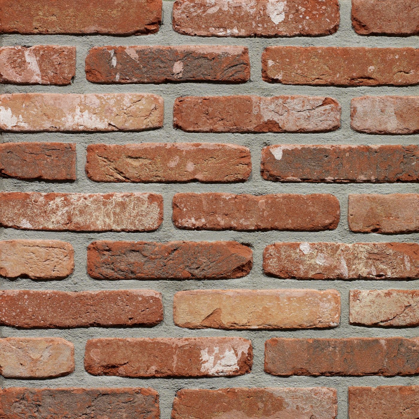 Rustica Oud Kempisch